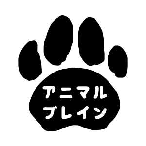 アニマルブレイン